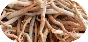 Alpha Tonic Tongkat Ali