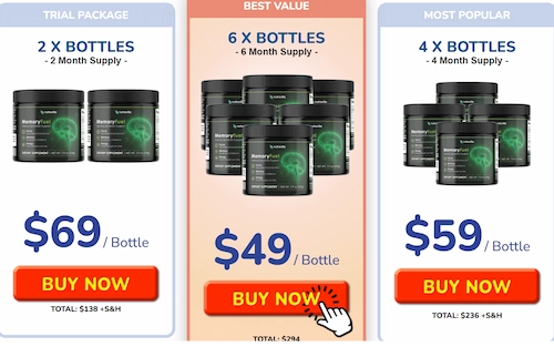 MemoryFuel pricing details